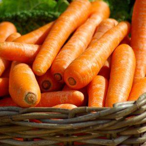 CARROT