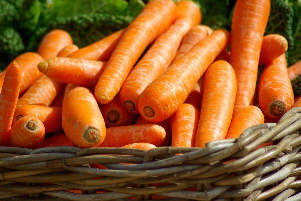 CARROT