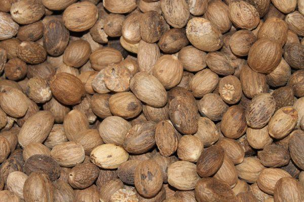 NUTMIG/ SADIKKA