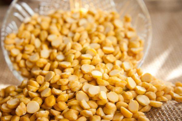 DAL/SEEDS