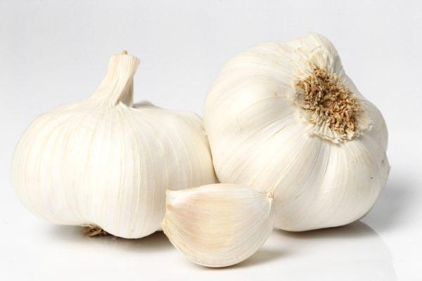 GARLIC