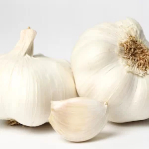 GARLIC