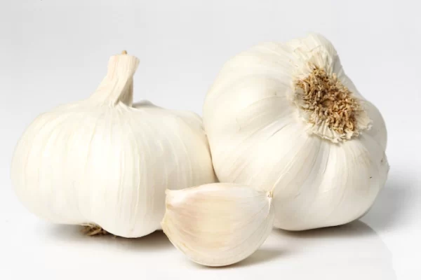 GARLIC